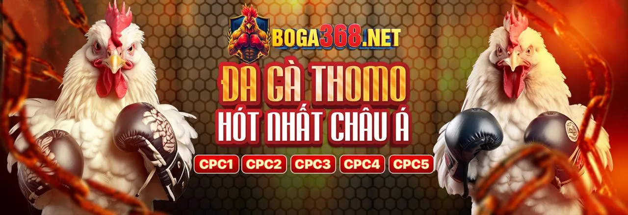 Ứng dụng cá cược Bong88 trên điện thoại
